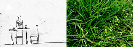 verdes