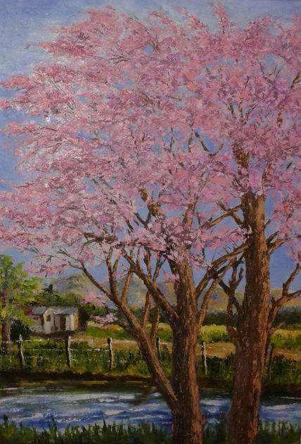 Lapachos en flor