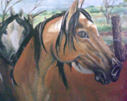 Caballos