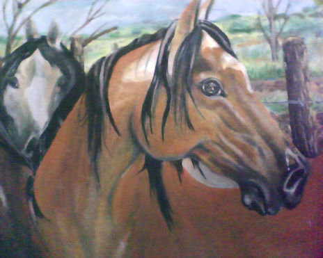 Caballos