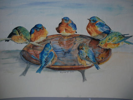Birds