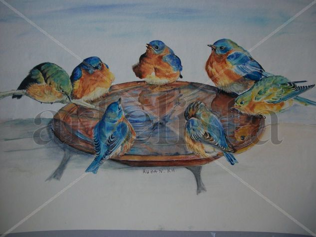 Birds Acuarela Papel Animales