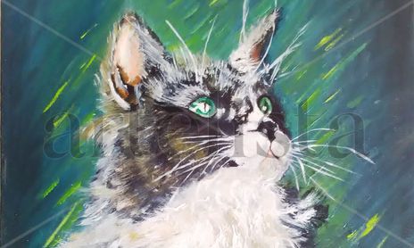 Animales