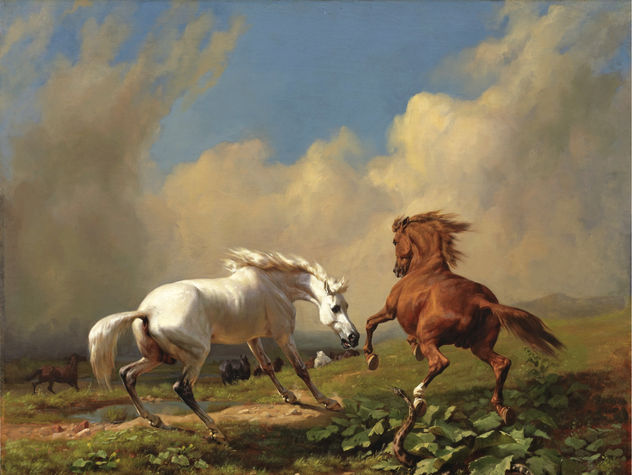 CABALLOS Oil Canvas Animals