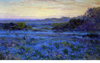 Paisaje bluebonnets