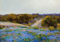 PAISAJE CON CAMINO BLUEBONNETS