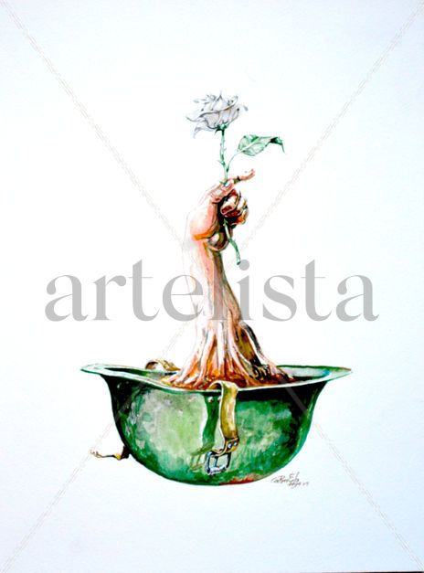 Cultivo una rosa...