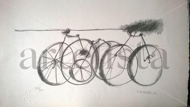Bicicletas