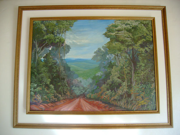 Paisaje de misiones 