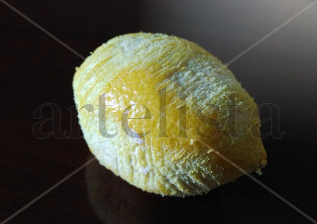 Cicuta nº3: retrato de un limón rallado