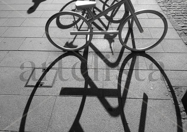 Cicuta nº4: la sombra de un sueño en bici