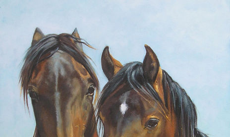 Caballos