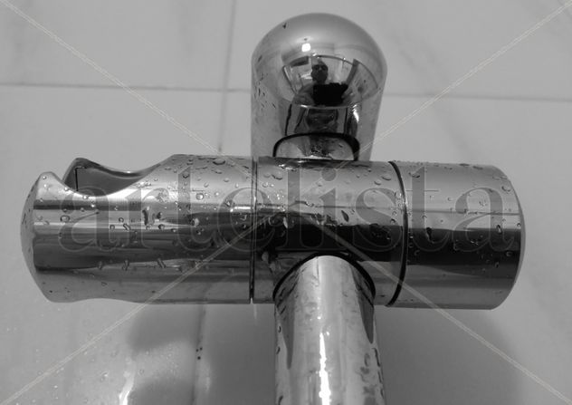 Cicuta n13: Autorretrato en la ducha