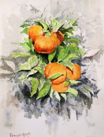 Naranjas amargas Watercolour Paper Still Life Paintings