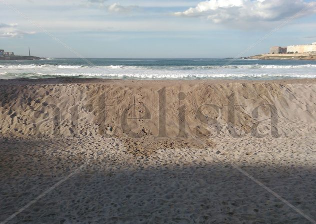 Cicuta nº26: Lengua de mar