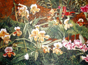 Orquideas