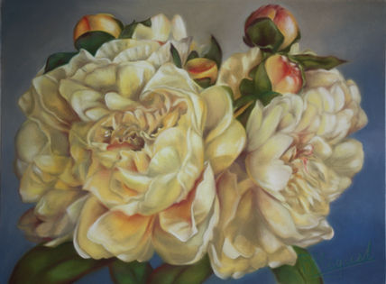 Peonias