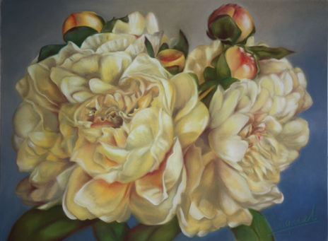 Peonias