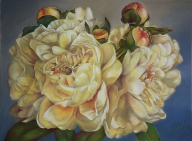 Peonias