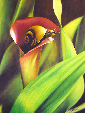 el caracol Oil Canvas Animals