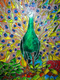 Pavo Real