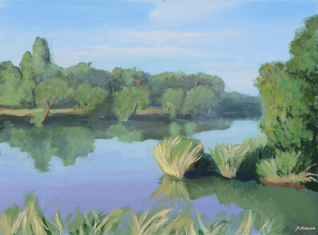 Río Tajo 2