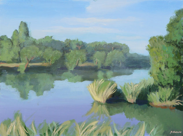 Río Tajo 2 Acrylic Panel Landscaping