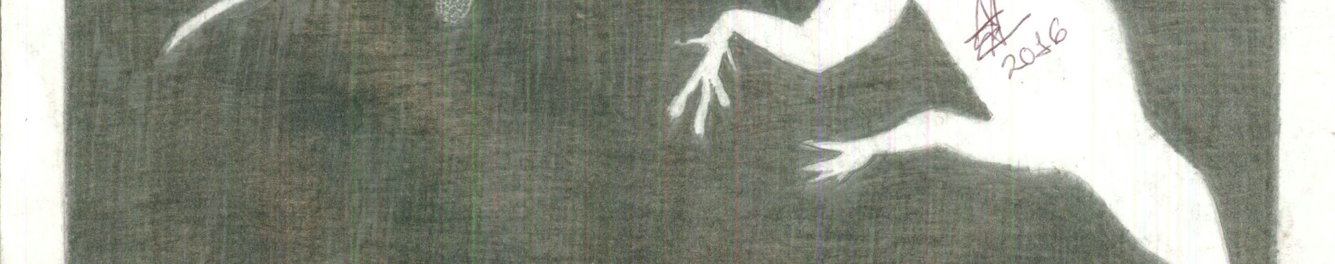 Imagen de portada