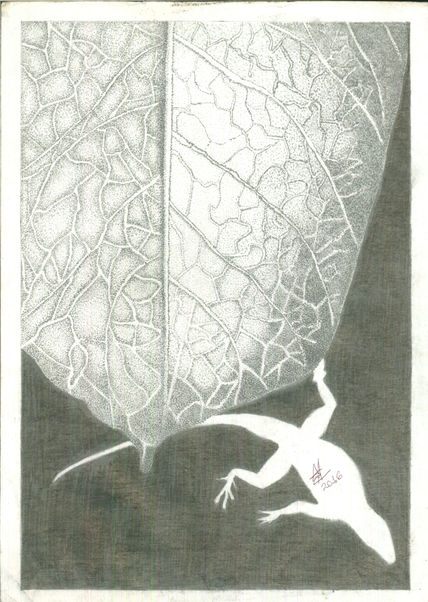 El Misterio de Darwin