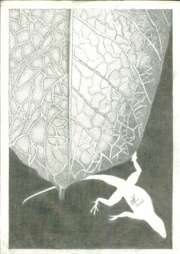 El Misterio de Darwin