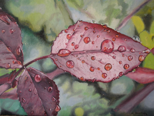 Lluvia recien caida Oil Canvas Landscaping