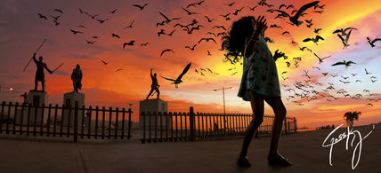 Birds in the boardwalk
