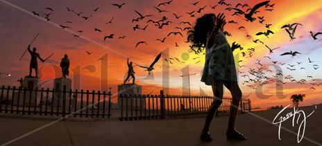 Birds in the boardwalk