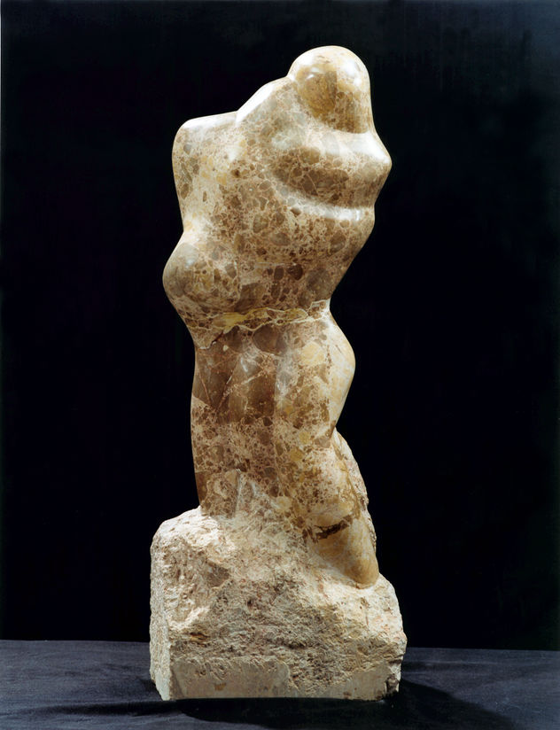 A Man and Wife by Shimon Drory