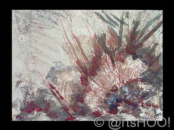 Flores Silvestres