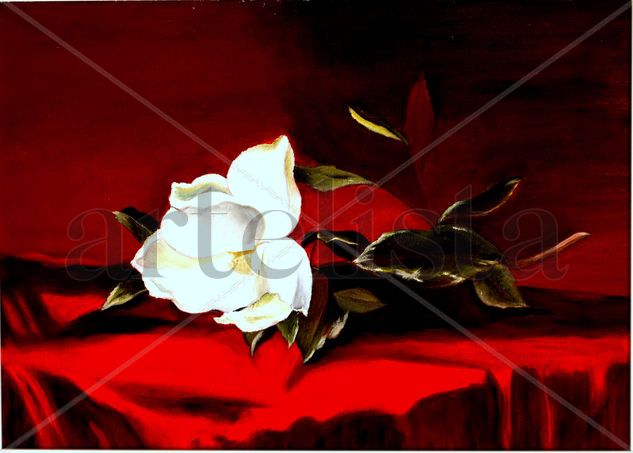 Flor blanca Oil Canvas Floral Painting