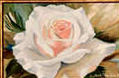 Flor blanca