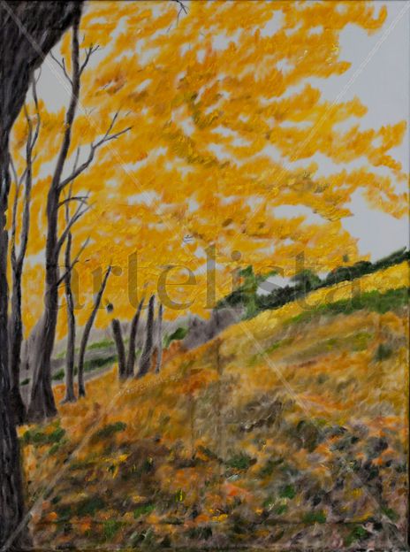 Forst in autumn