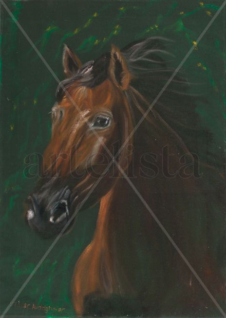 Brown horse...