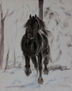 Friesan horse - Winter free spirit