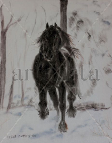 Friesan horse -...
