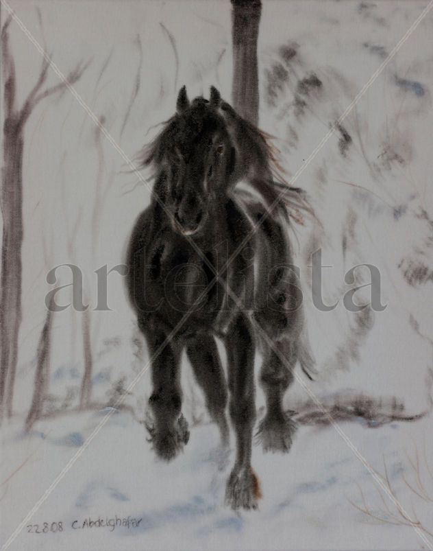 Friesan horse - Winter free spirit