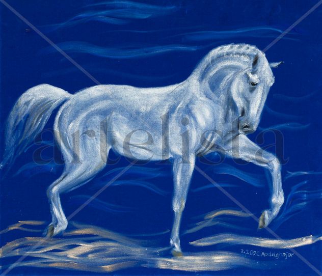 Proud white stallion on blue velvet