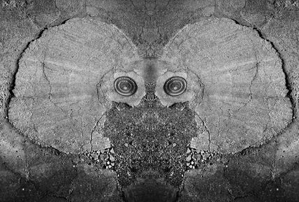 Comecocos mariposa