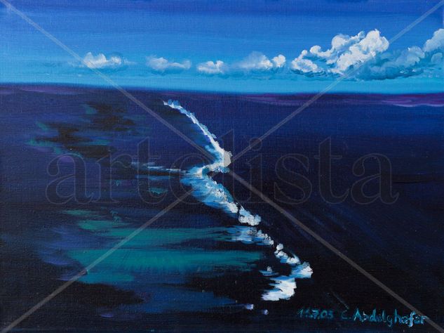 Coral reef Oil Canvas Others