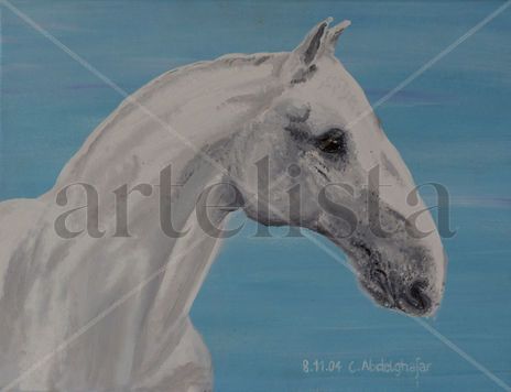 Lippizan horse