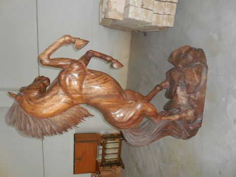 Caballo salvaje