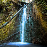 Nature thumbnail 2