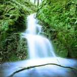 Nature thumbnail 1
