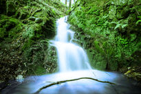 Waterfall on forest